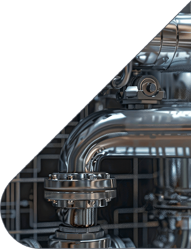 Flanges inox